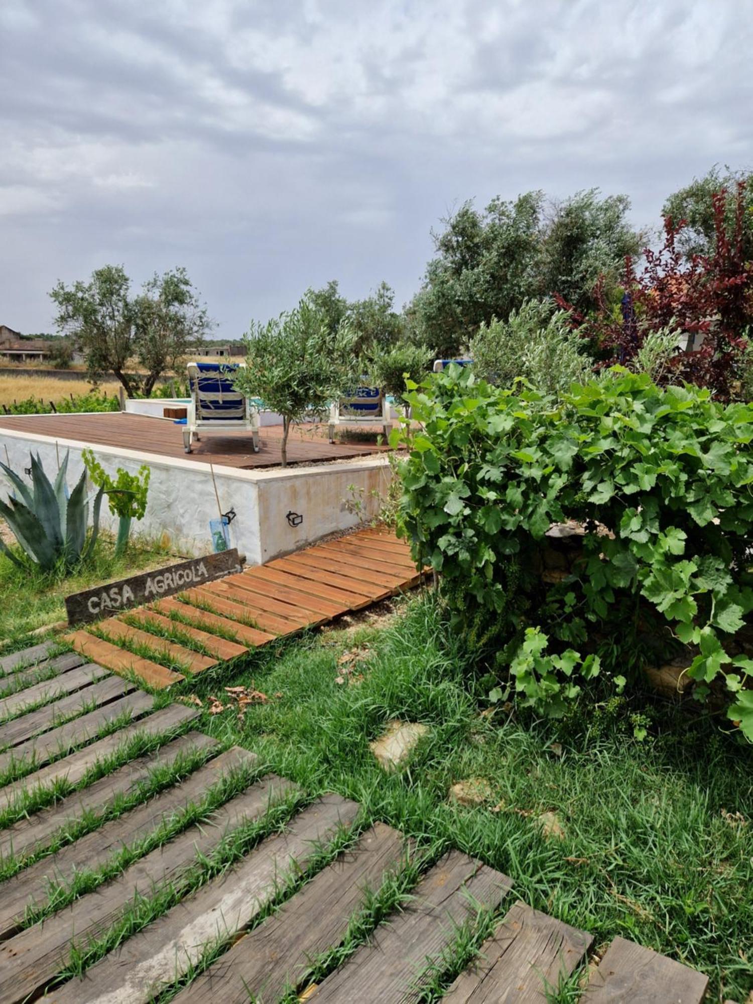 Monte Aranhas Villa Estremoz