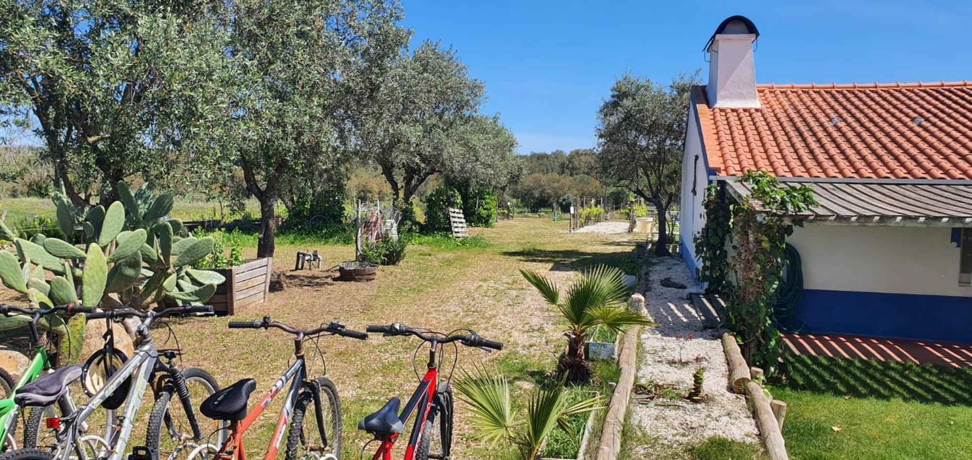 Villa Monte Aranhas Estremoz