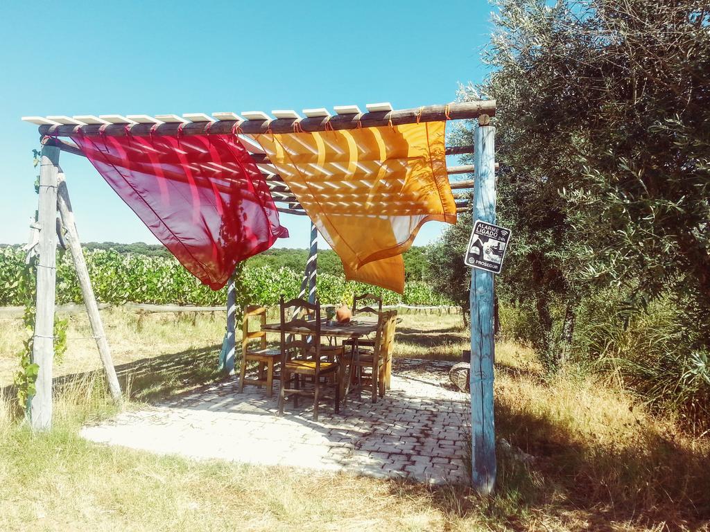 Monte Aranhas Villa *